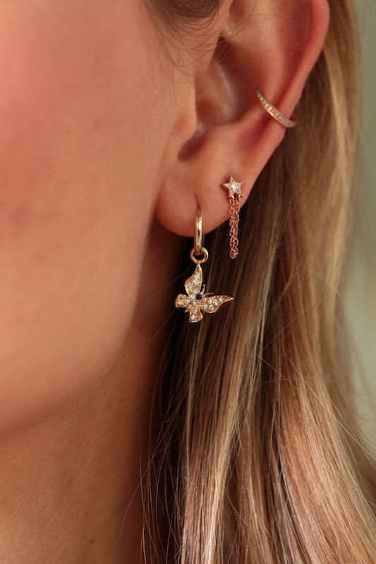 ANA_3749.jpg ANA_3749.jpg